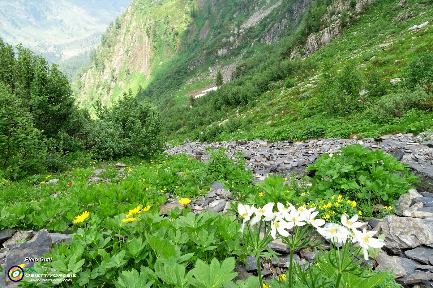 74 E qui bypasso il ruscello da sx a dx.JPG